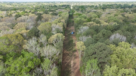 Land for sale Harrison County TX Hallsville ISD - image 13