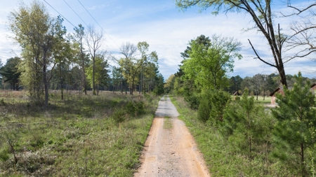 Land for sale Harrison County TX Hallsville ISD - image 21
