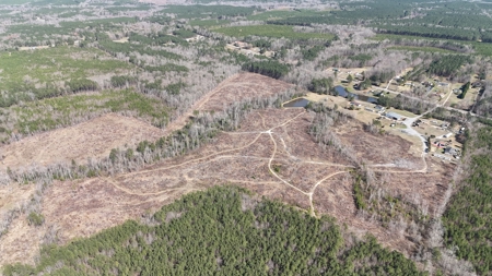 Prime Land: 50 Acres in Brodnax, VA - image 4