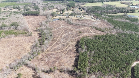 Prime Land: 50 Acres in Brodnax, VA - image 6