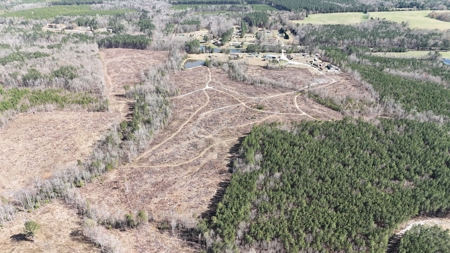 Prime Land: 50 Acres in Brodnax, VA - image 5