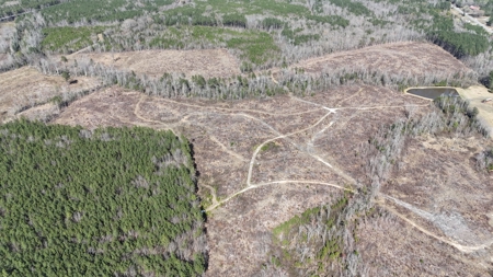 Prime Land: 50 Acres in Brodnax, VA - image 3