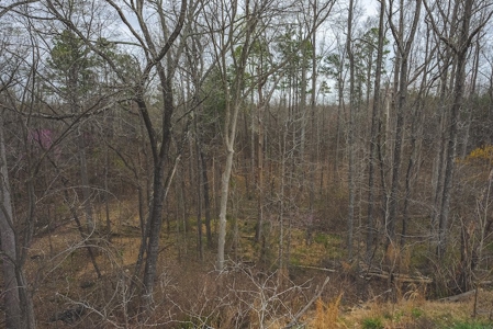 Offering 1 - Commercial Building Site in Danville VA - image 14