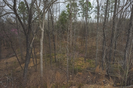 Offering 1 - Commercial Building Site in Danville VA - image 15
