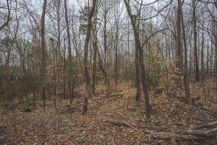 Offering 1 - Commercial Building Site in Danville VA - image 17