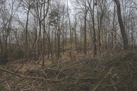 Offering 1 - Commercial Building Site in Danville VA - image 13