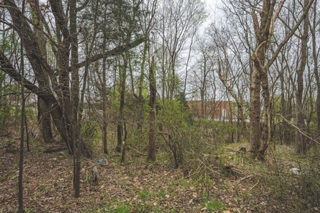 Offering 1 - Commercial Building Site in Danville VA - image 12