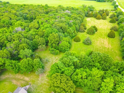 Home For Sale St. Clair County Missouri - image 42