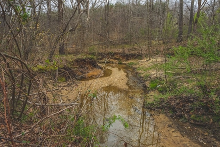 Offering 2 - Wooded Tract of Land for Sale in Danville VA - image 16