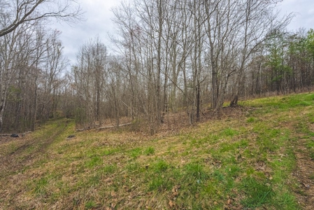 Offering 2 - Wooded Tract of Land for Sale in Danville VA - image 30
