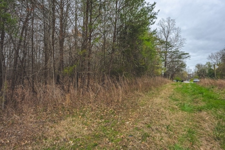 Offering 2 - Wooded Tract of Land for Sale in Danville VA - image 23