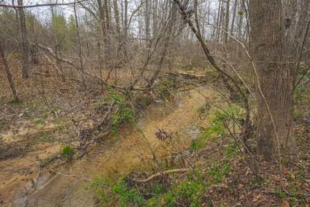 Offering 2 - Wooded Tract of Land for Sale in Danville VA - image 14