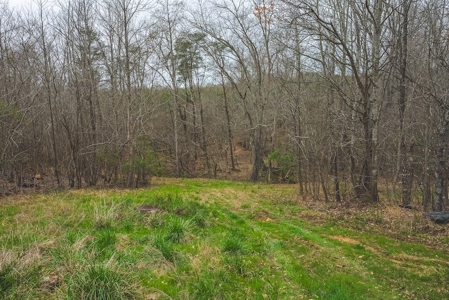 Offering 2 - Wooded Tract of Land for Sale in Danville VA - image 25