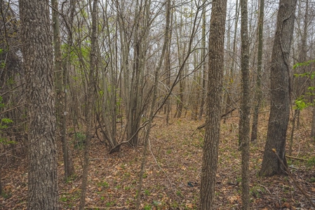 Offering 2 - Wooded Tract of Land for Sale in Danville VA - image 1