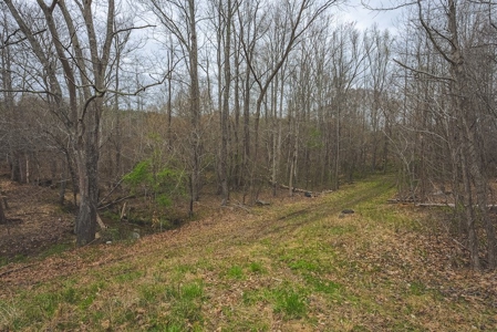 Offering 2 - Wooded Tract of Land for Sale in Danville VA - image 27