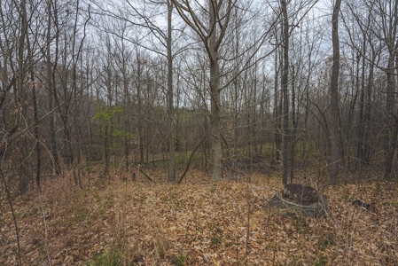 Offering 2 - Wooded Tract of Land for Sale in Danville VA - image 9