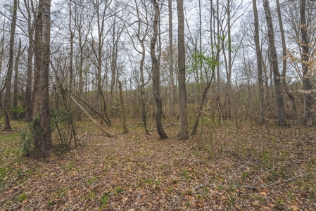 Offering 2 - Wooded Tract of Land for Sale in Danville VA - image 13