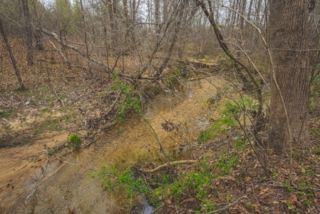 Offering 2 - Wooded Tract of Land for Sale in Danville VA - image 15