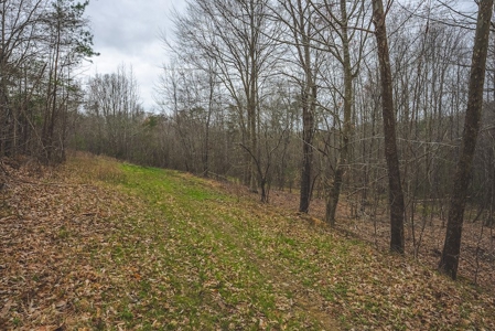 Offering 2 - Wooded Tract of Land for Sale in Danville VA - image 20