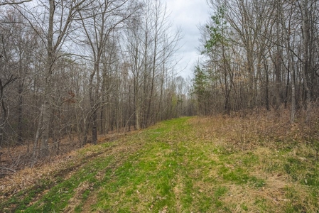 Offering 2 - Wooded Tract of Land for Sale in Danville VA - image 22