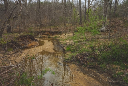 Offering 2 - Wooded Tract of Land for Sale in Danville VA - image 17