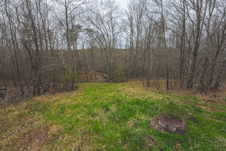 Offering 2 - Wooded Tract of Land for Sale in Danville VA - image 26
