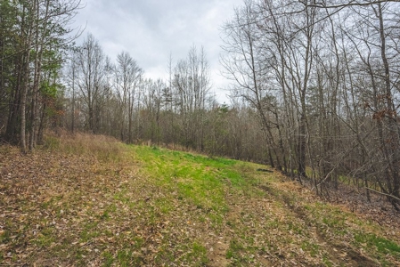 Offering 2 - Wooded Tract of Land for Sale in Danville VA - image 21