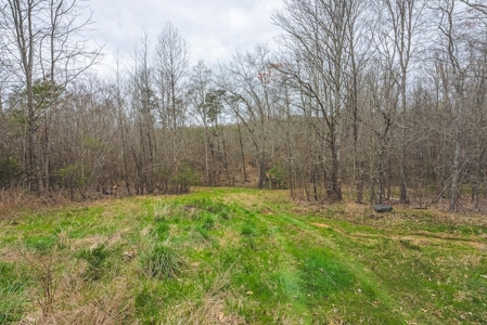 Offering 2 - Wooded Tract of Land for Sale in Danville VA - image 24
