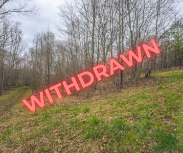 Offering 2 - Wooded Tract of Land for Sale in Danville VA - image 31
