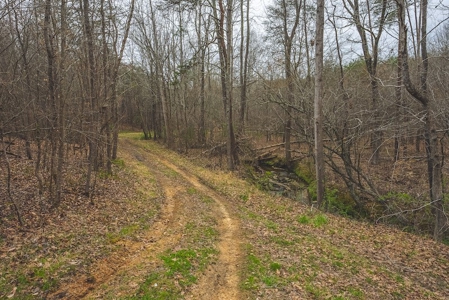 Offering 2 - Wooded Tract of Land for Sale in Danville VA - image 28
