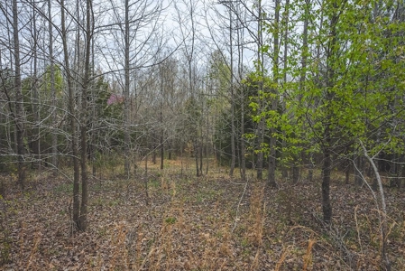 Offering 3 - Residential Building Site for Sale in Danville - image 22