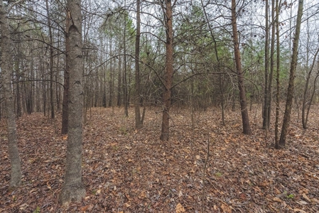 Offering 3 - Residential Building Site for Sale in Danville - image 18