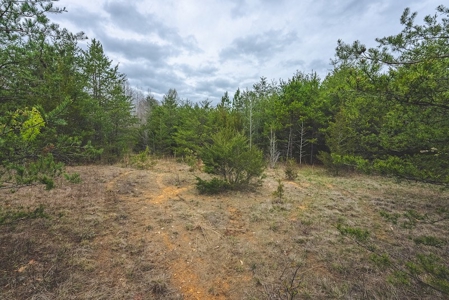 Offering 3 - Residential Building Site for Sale in Danville - image 14