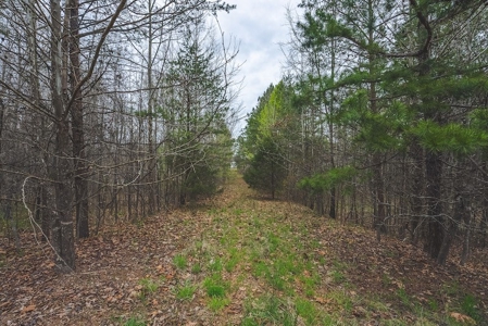 Offering 3 - Residential Building Site for Sale in Danville - image 24