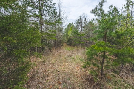 Offering 3 - Residential Building Site for Sale in Danville - image 13