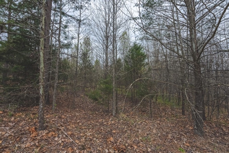 Offering 3 - Residential Building Site for Sale in Danville - image 25