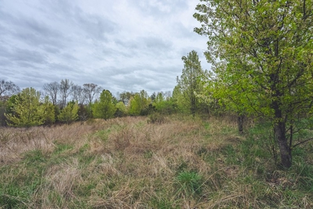 Offering 3 - Residential Building Site for Sale in Danville - image 11