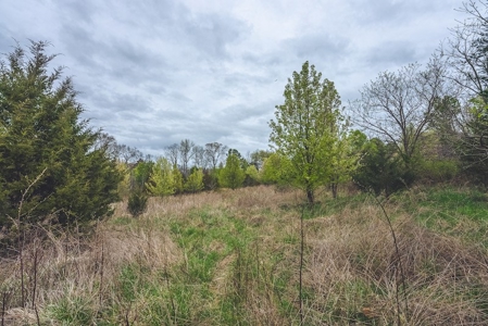 Offering 3 - Residential Building Site for Sale in Danville - image 9