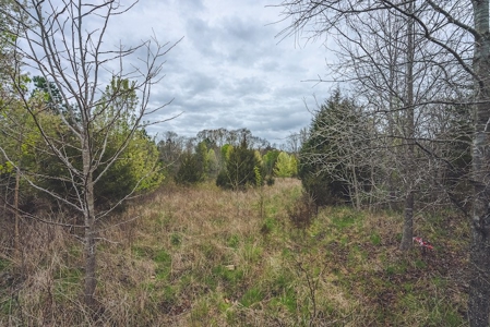 Offering 3 - Residential Building Site for Sale in Danville - image 8