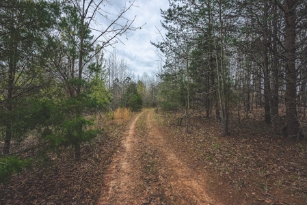 Offering 3 - Residential Building Site for Sale in Danville - image 21