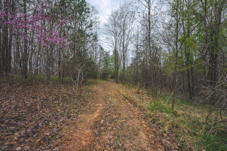 Offering 3 - Residential Building Site for Sale in Danville - image 12