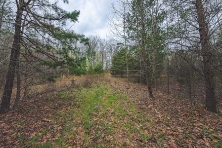 Offering 3 - Residential Building Site for Sale in Danville - image 26