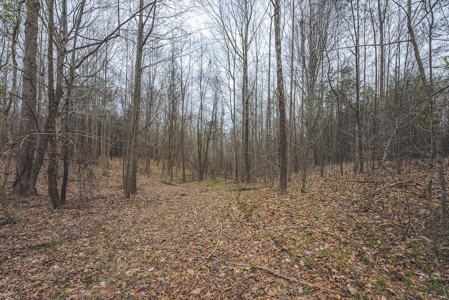 Offering 3 - Residential Building Site for Sale in Danville - image 16