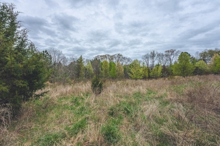 Offering 3 - Residential Building Site for Sale in Danville - image 10