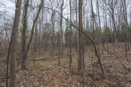 Offering 3 - Residential Building Site for Sale in Danville - image 17