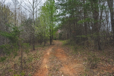 Offering 3 - Residential Building Site for Sale in Danville - image 23