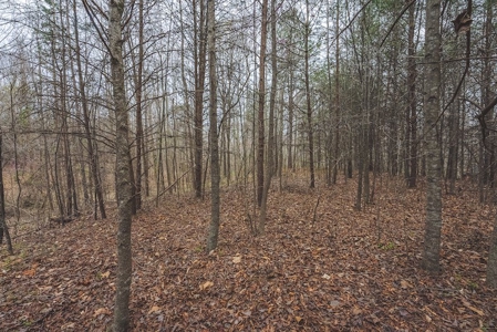 Offering 3 - Residential Building Site for Sale in Danville - image 19