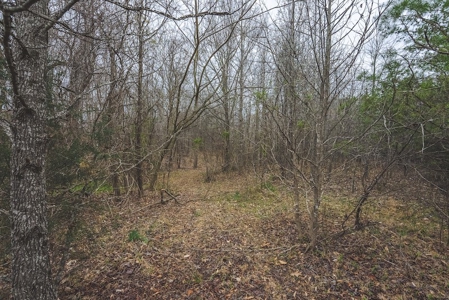 Offering 3 - Residential Building Site for Sale in Danville - image 15