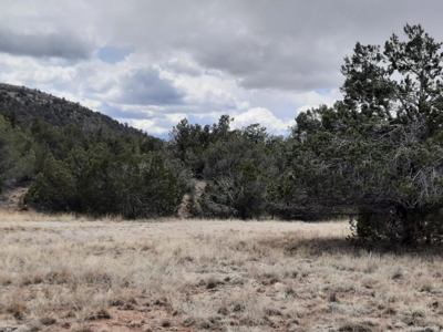 FANTASTIC Rural off grid Northern AZ property. - image 10