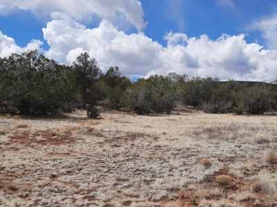 FANTASTIC Rural off grid Northern AZ property. - image 14